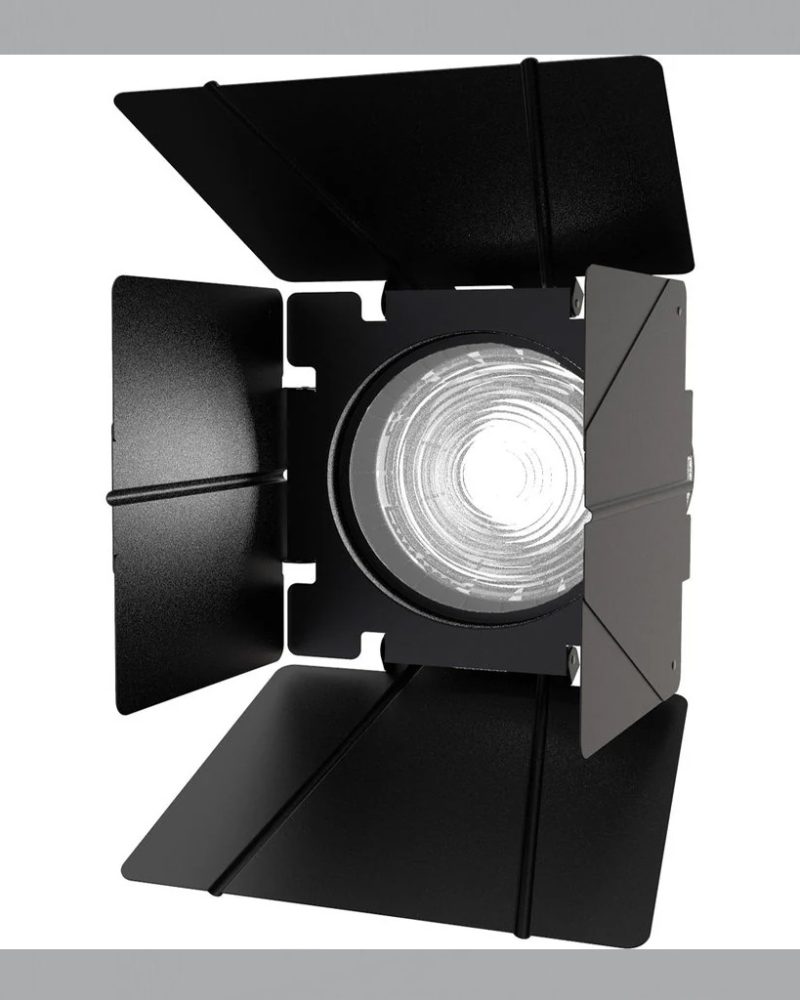 Aputure F10 Barndoors